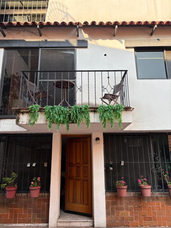 Casa Coyoacan - 4