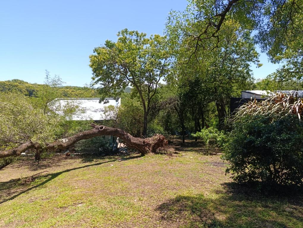 Loft camino del cuadrado - 4