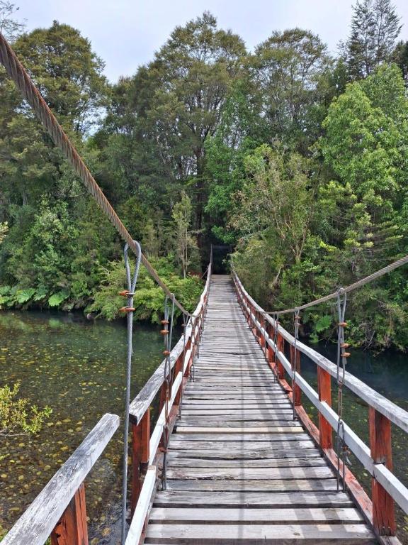 cabañas el bus de chaqueihua - 4