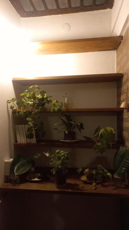 Casa Corna - 3