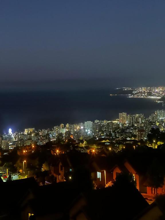 Soleado con hermosa vista a Viña del Mar - 5