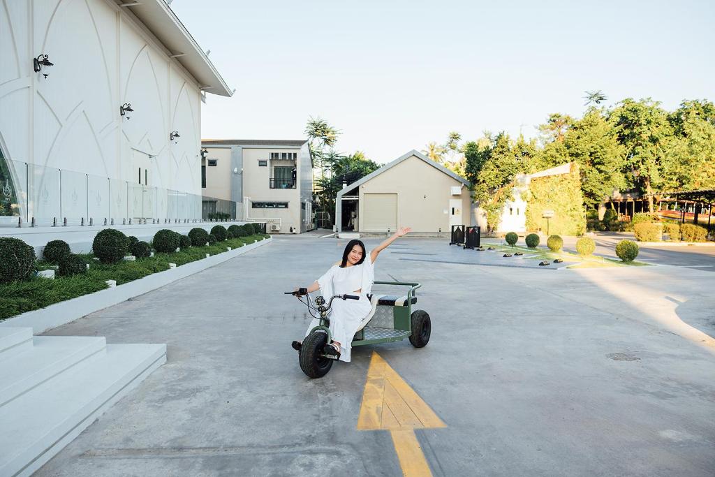 アクティビティ