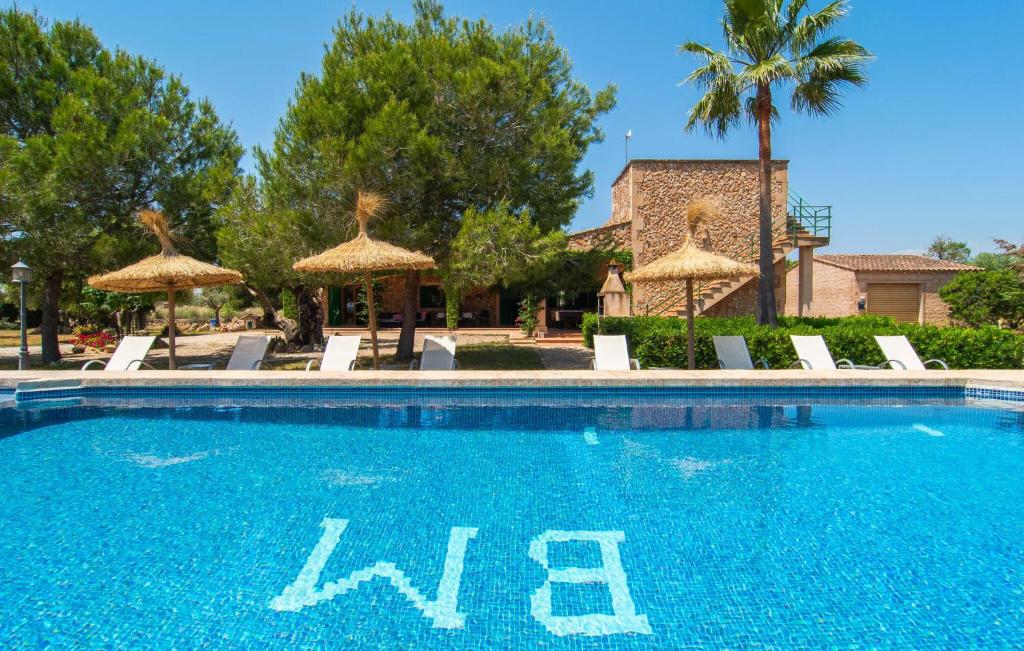 Els Girasols - 2