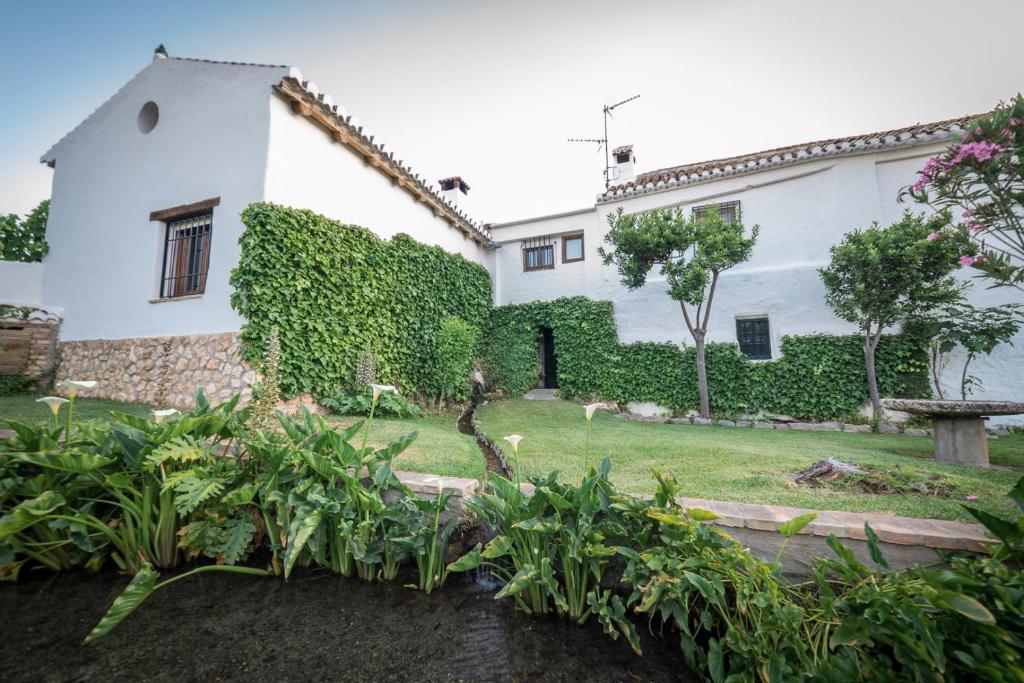 Al Agia - Molino Mísqueres de Padul - 4