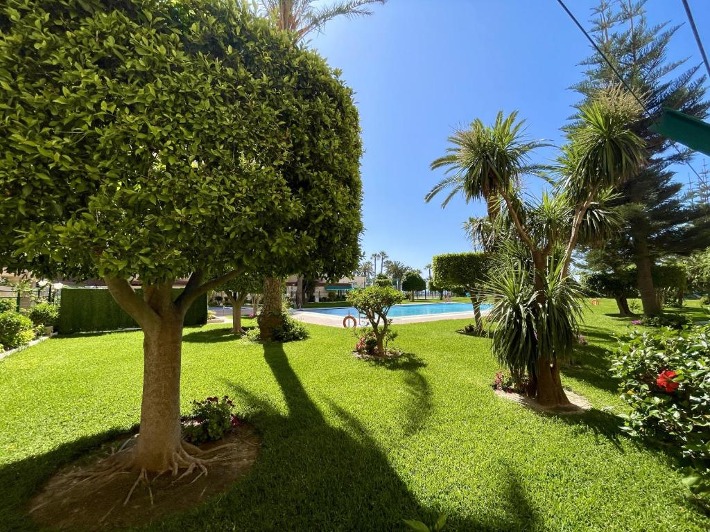 Beautiful 1 bedroom south facing apartment - 2