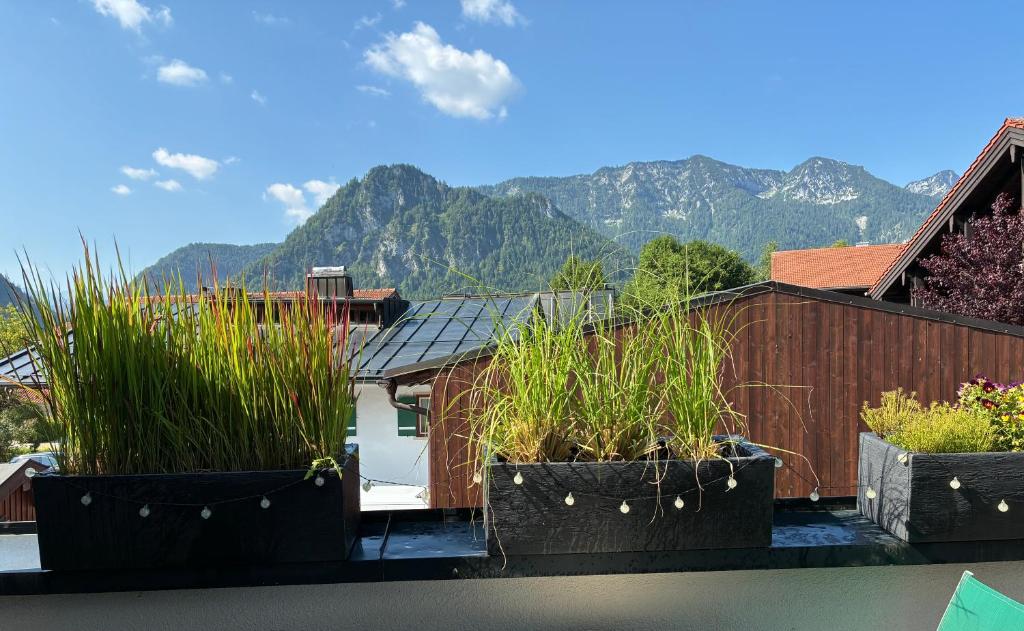 Ferienwohnung in der "Alten Post" - Chiemgau Karte - 5