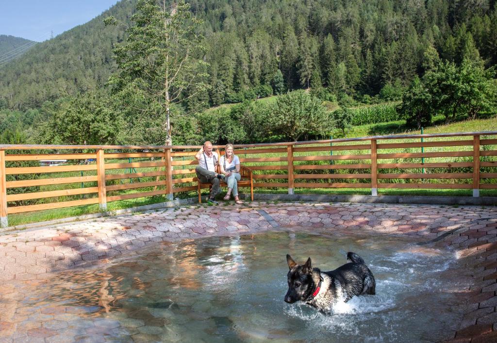 スイミングプール