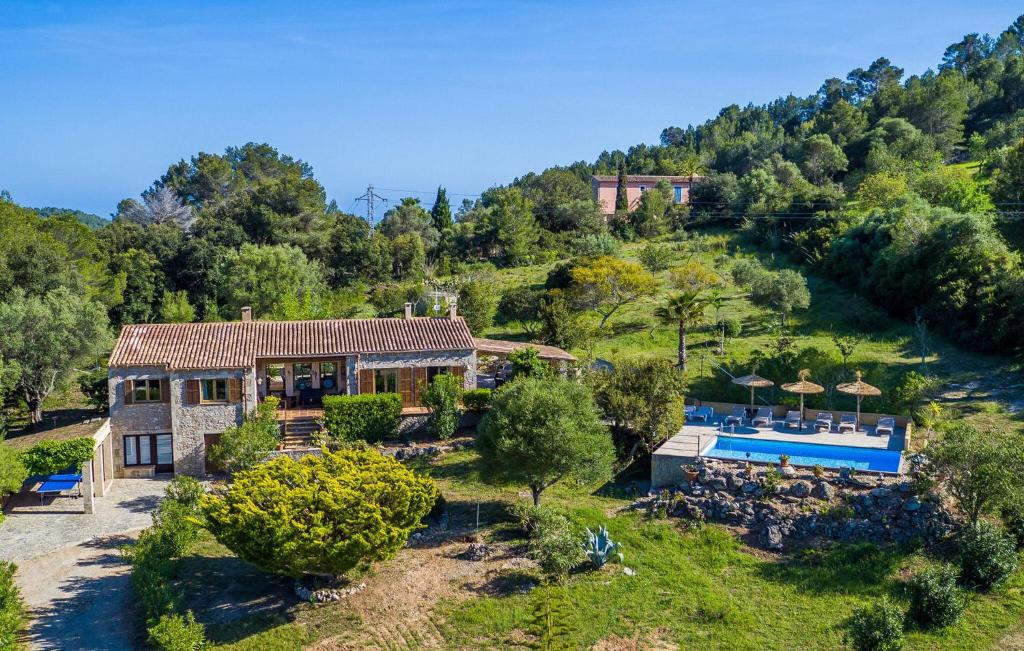 Oliveres - 1