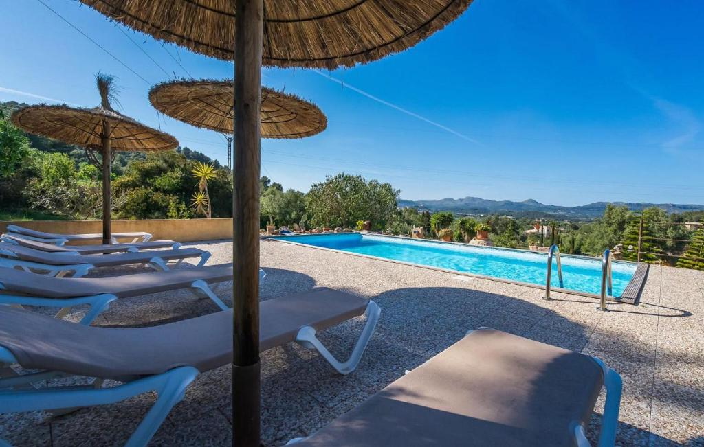 Oliveres - 5
