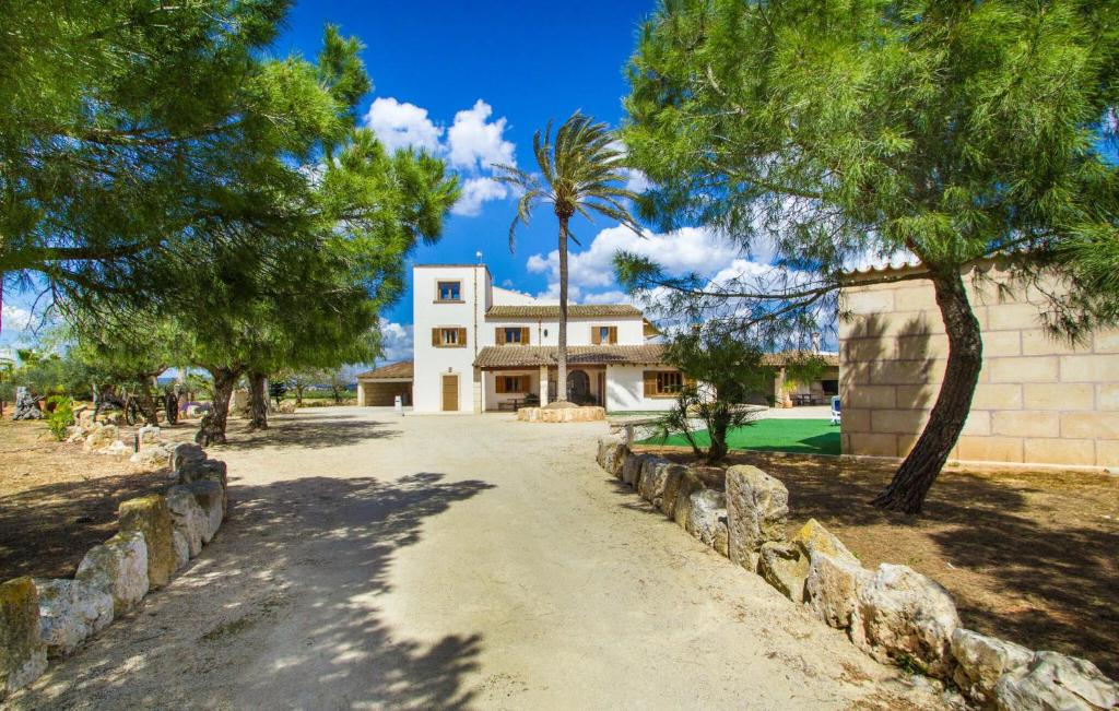 Sant Blai Nou - 5