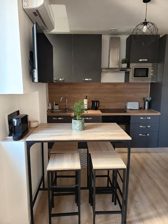 Cozy studio in Aix-les-Bains - 2