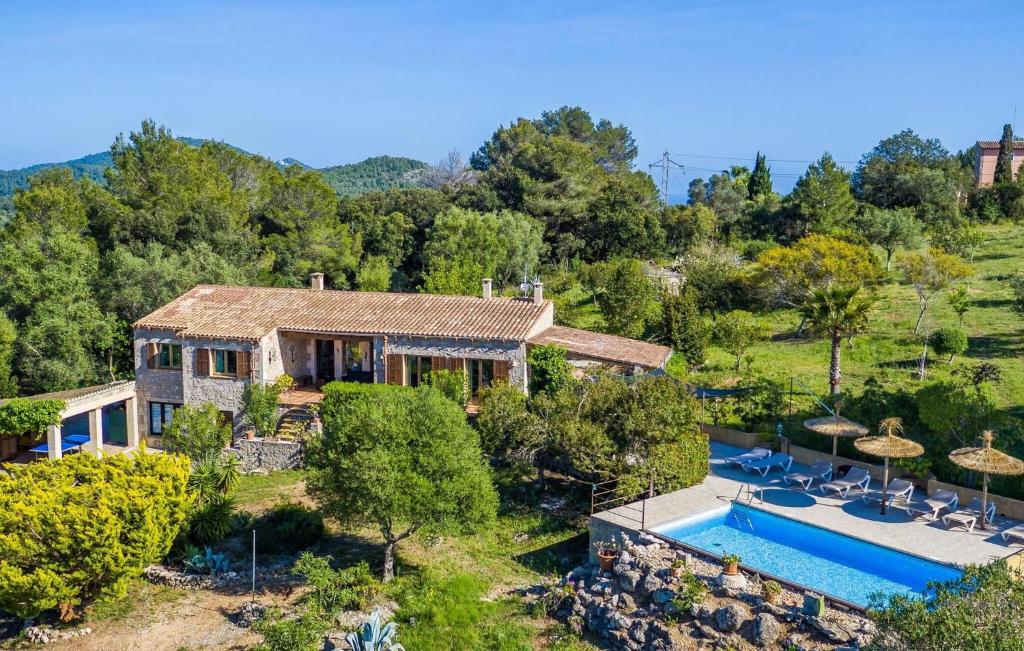 Oliveres - 2