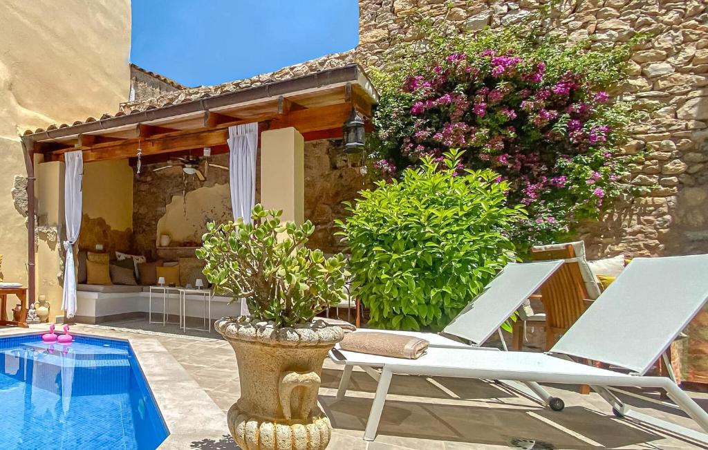 Casa Vida Arta - 5