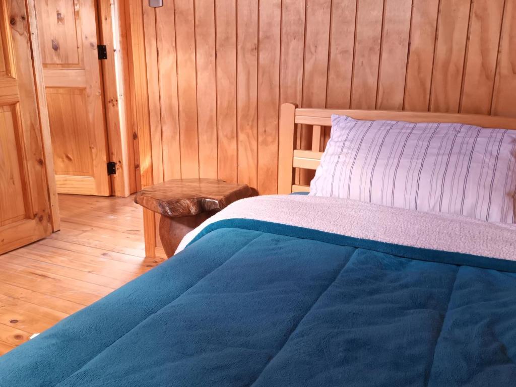 Cabaña piedra azul - 3