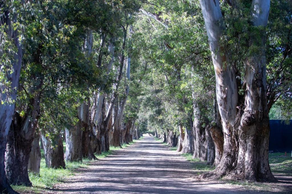 RentUp - Diseño exclusivo espacios unicos Tessalia Casa Polo - 3