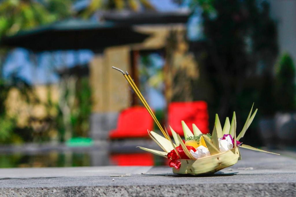 スイミングプール