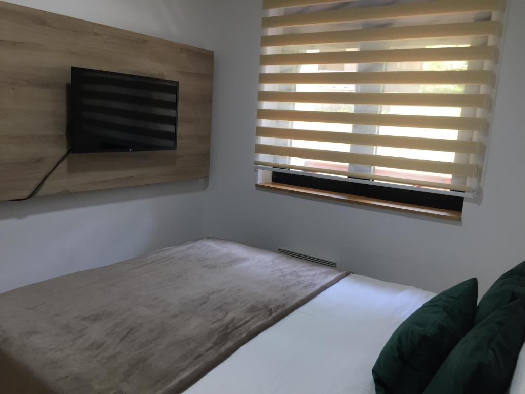 Apartman Sneza - 5
