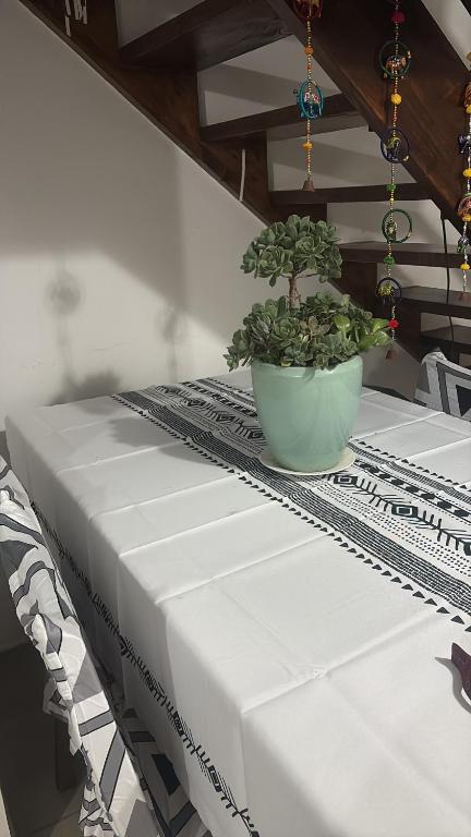 Caleta San Pedro La Serena - 3