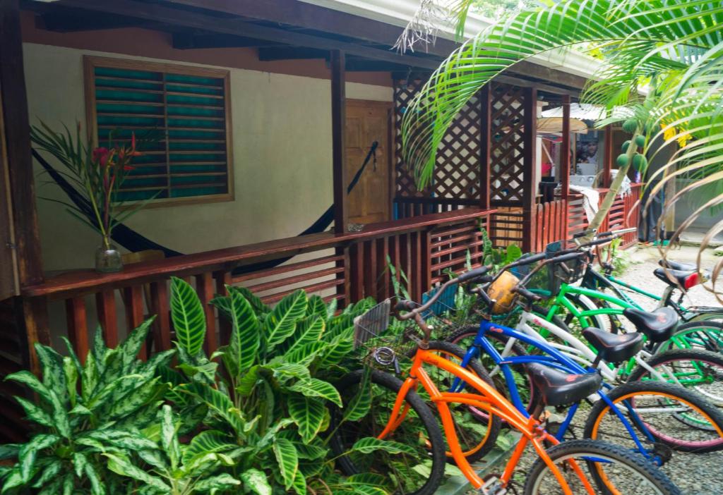Hostal Cecilia — Hotel in Puerto Viejo de Talamanca