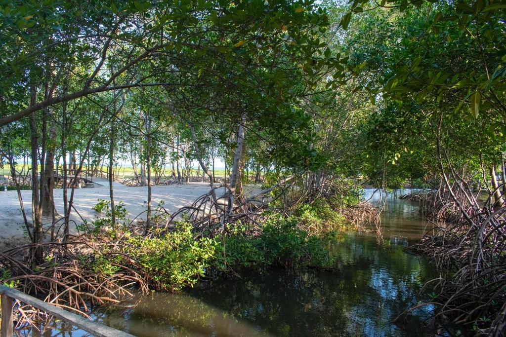 Surrounding environment