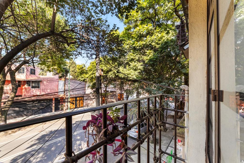 Suites Calle Berlin - 5