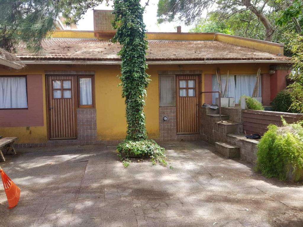 Cabañas 48 - 5