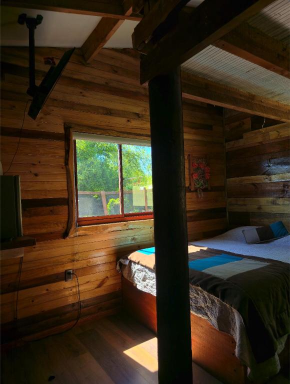 Cabaña Tinny 3-4 Personas - 4