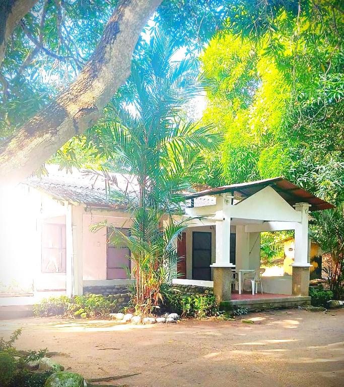 Eden Garden - 1