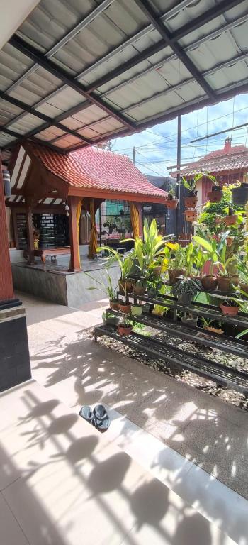 Maharani Homestay