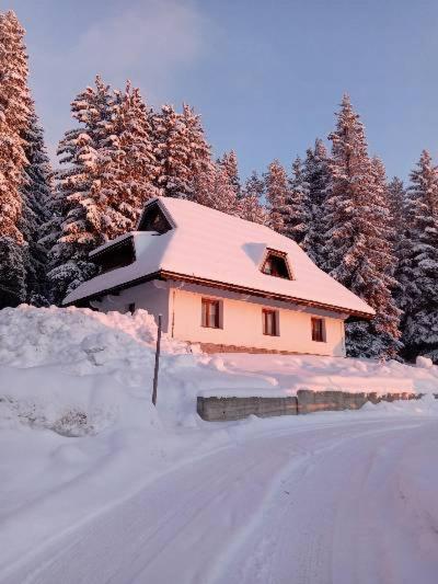Studios Šumska Kuća 2 & 3 - 1