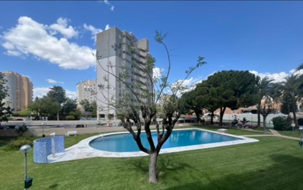 Apartamento Jacaranda - 1