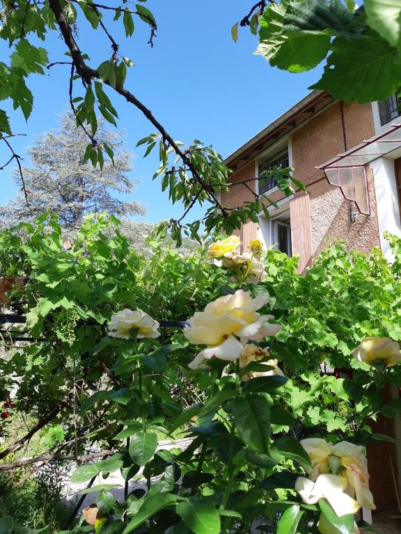 Beautiful apartment in Provençal residence with garden and WiFi - 2