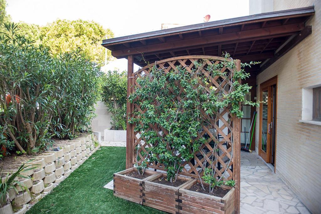 M225 - Marcelli, nuovo bilocale con giardino - 5