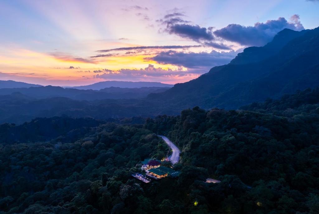 Surrounding environment