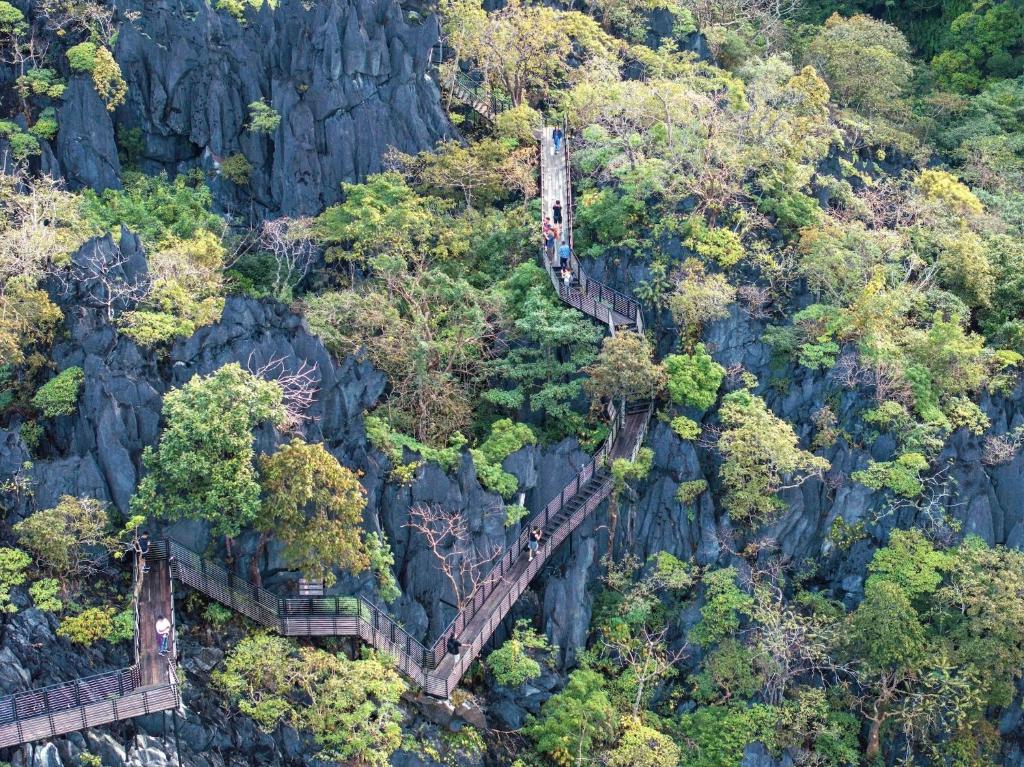 Surrounding environment