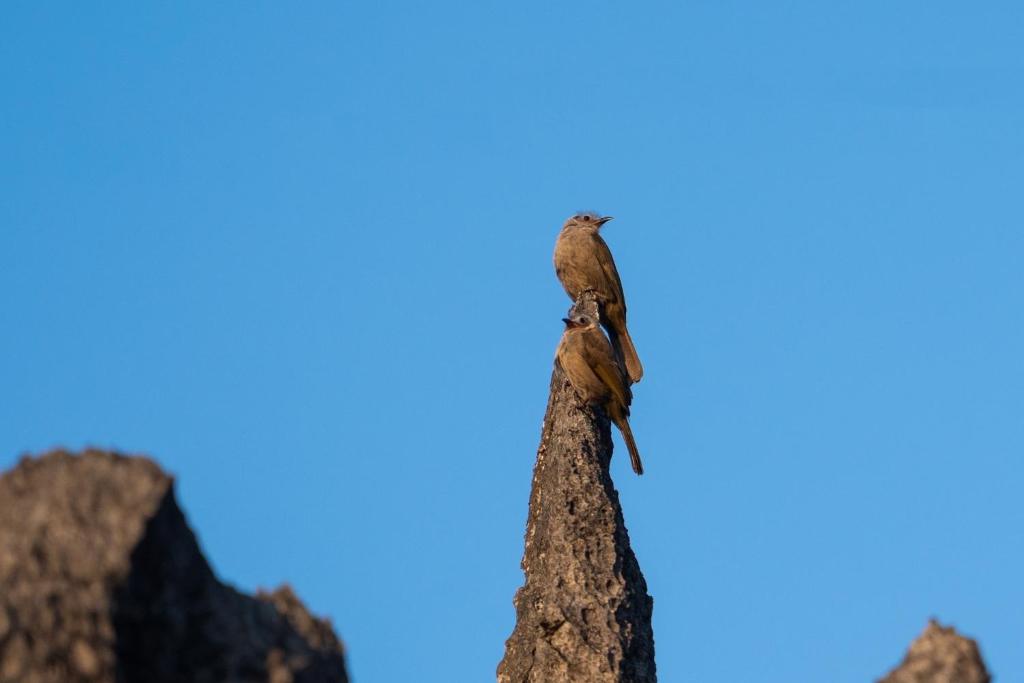 Surrounding environment