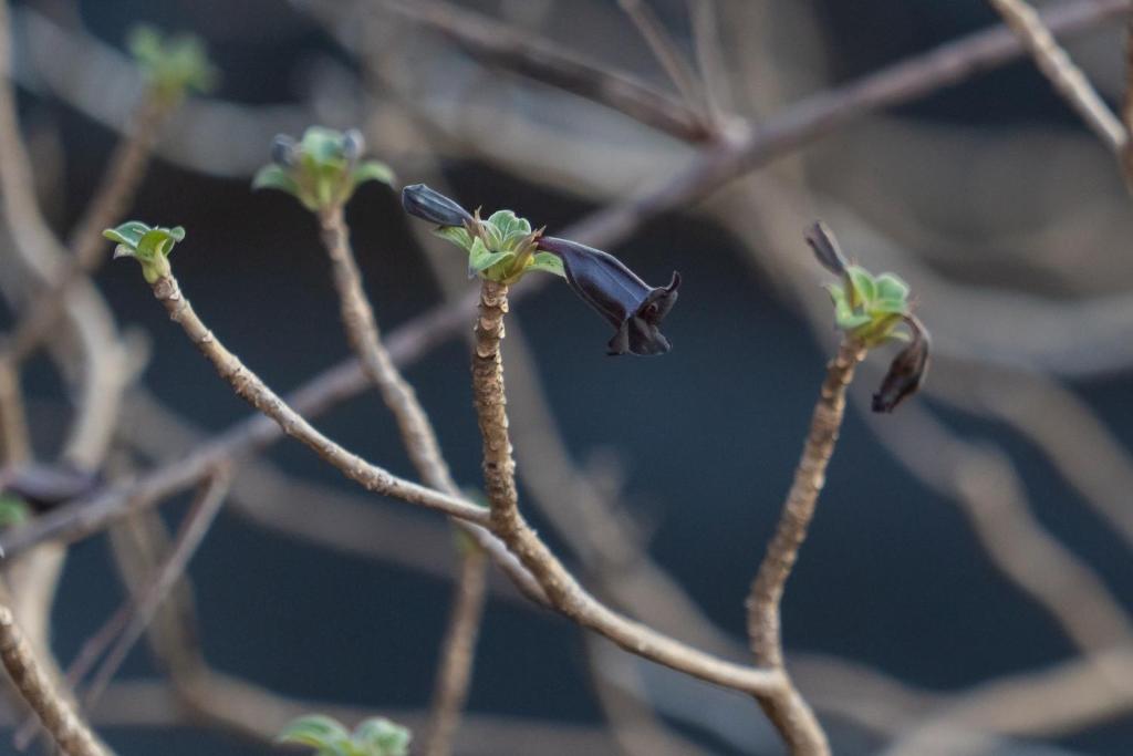 Surrounding environment