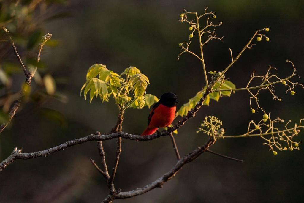 Surrounding environment