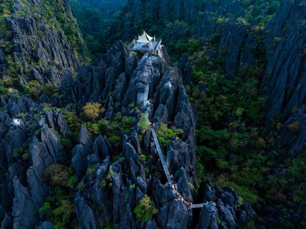 Surrounding environment