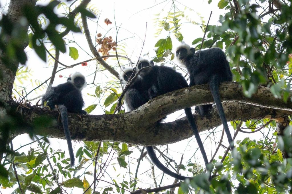 Surrounding environment