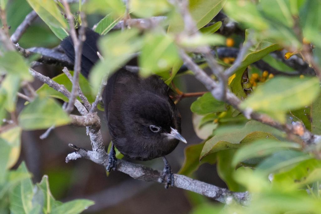 Surrounding environment