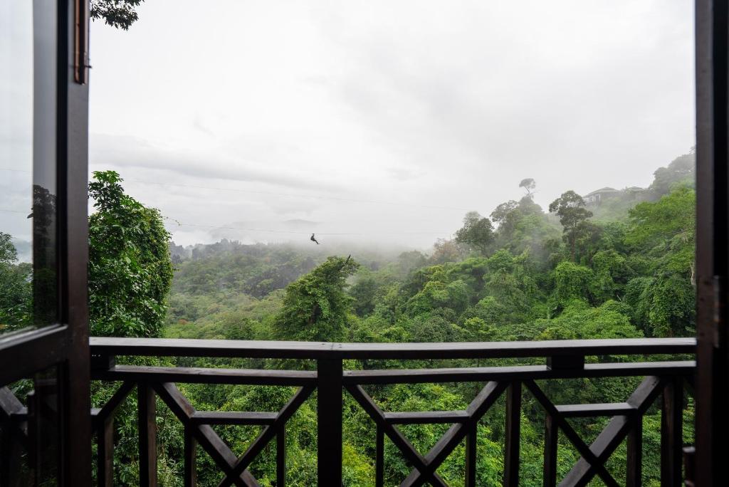 Surrounding environment