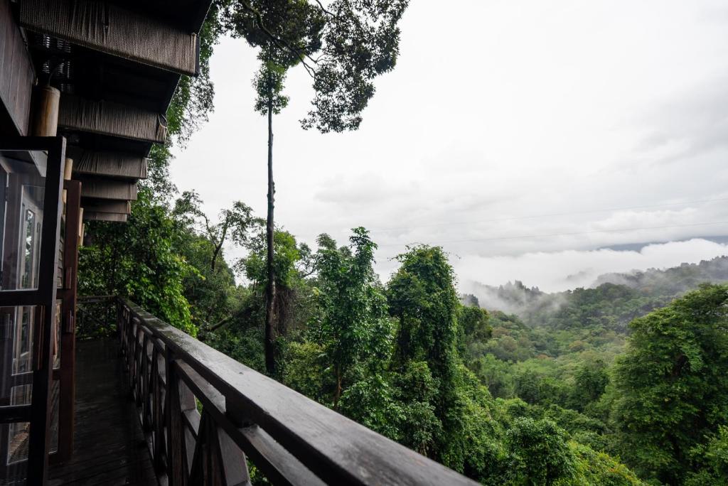 Surrounding environment