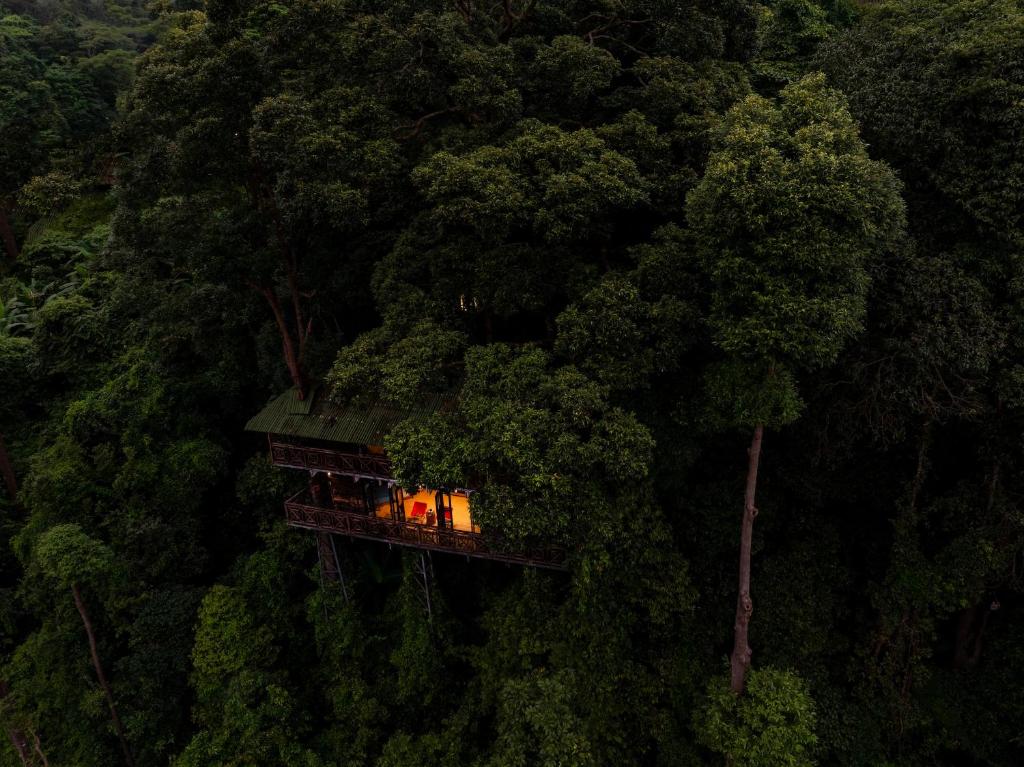 Surrounding environment