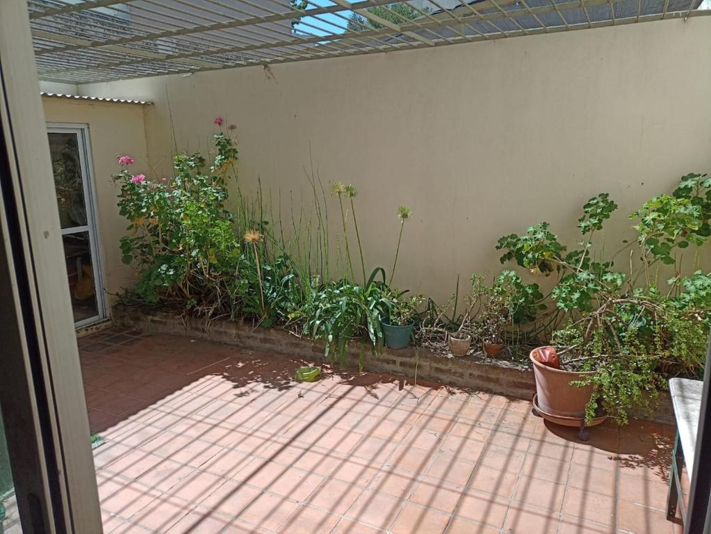 Departamento en alquiler temporario- La Plata - 3