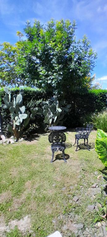 Cantal Bed & Breakfast - 3