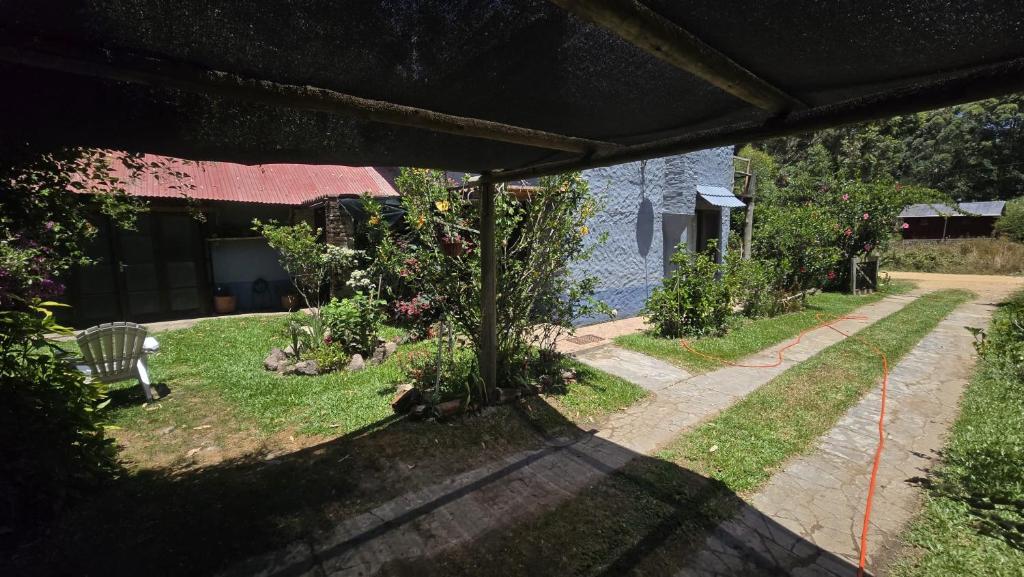 La Casa de Lili - 5