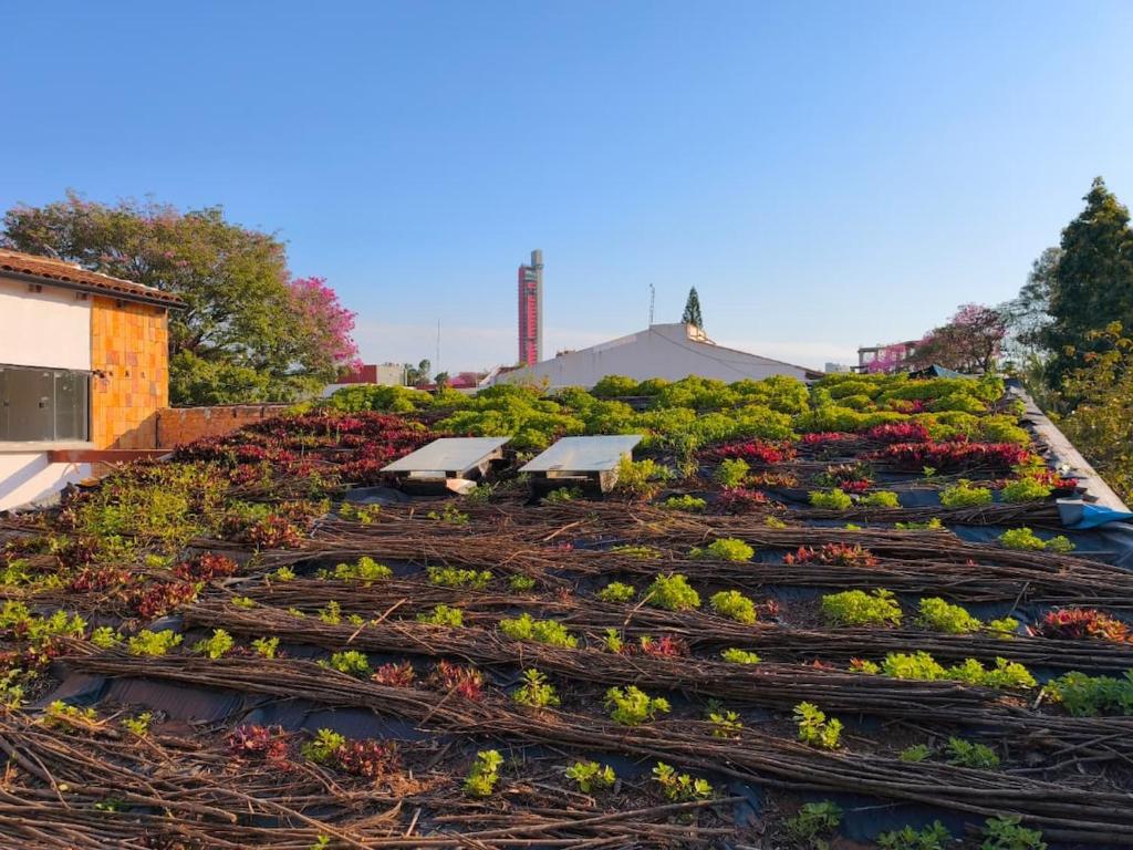 Excellent location surrounded by beautiful gardens - 3