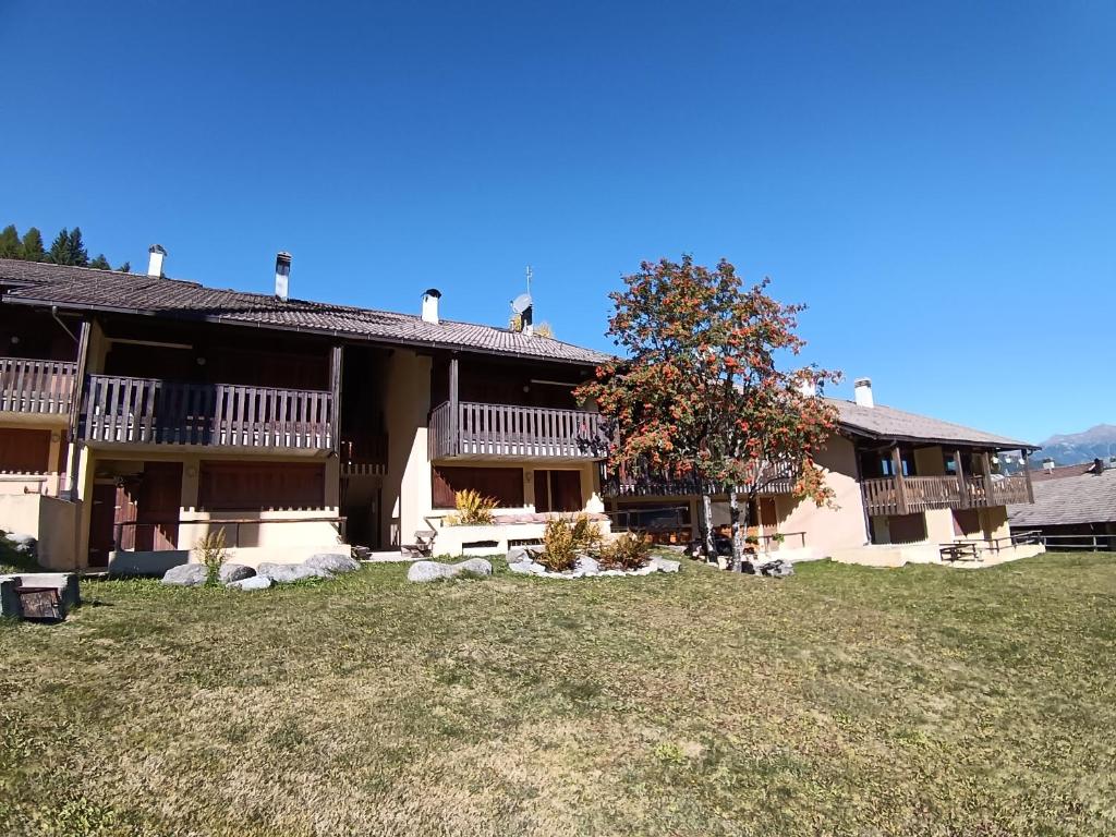 Ampio e comodo appartamento direttamente sulle piste a Folgarida - 2
