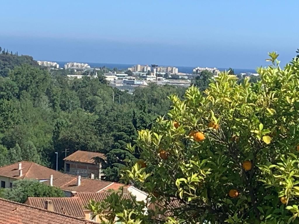 Bas de Villa avec vue dégagée - 2